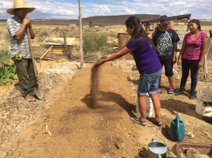 Step 9: A layer of sifted compost over the soil
