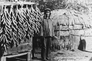 Late 19th century Anishnaabe man curing corn on Cass Lake. Photo courtesy of First People