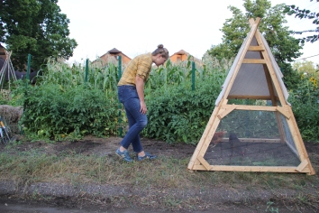 Annelie visiting the chicken tractor/tipi that hosts Mashkiikii Gitigan's two hens. Photo by Angelo Baca