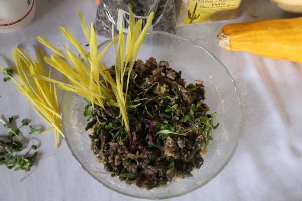 Loretta's "Three Sisters and Friends" Salad, which includes hominy corn, tepary beans, summer squash, wild rice, quinoa, micro greens, cilantro and corn shoots, with a vinagrette dressing. Photo by Elizabeth Hoover