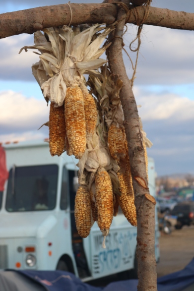 Dried sweet corn hanging from Winona's outdoor kitchen. In the background is the water truck that came around every day to deliver fresh drinking water to camps. Photo by Elizabeth Hoover